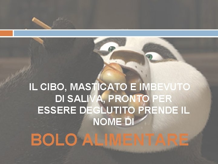 IL CIBO, MASTICATO E IMBEVUTO DI SALIVA, PRONTO PER ESSERE DEGLUTITO PRENDE IL NOME