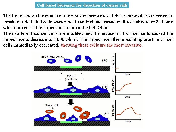 Cell-based biosensor for detection of cancer cells The figure shows the results of the