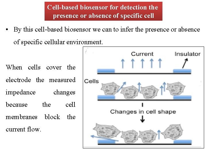 Cell-based biosensor for detection the presence or absence of specific cell • By this