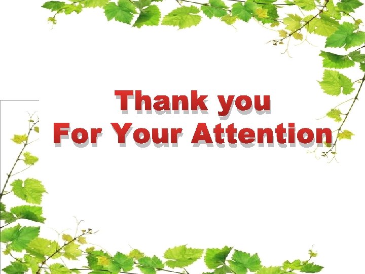 Thank you For Your Attention 