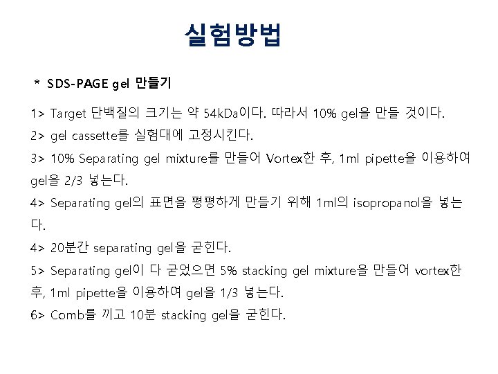 실험방법 ＊ SDS-PAGE gel 만들기 1> Target 단백질의 크기는 약 54 k. Da이다. 따라서