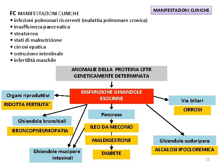 MANIFESTAZIONI CLINICHE FC MANIFESTAZIONI CLINICHE • infezioni polmonari ricorrenti (malattia polmonare cronica) • insufficienza