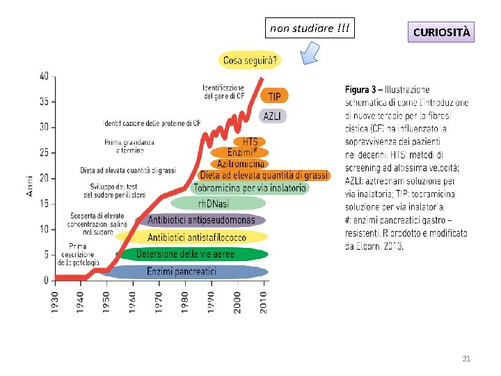 non studiare !!! CURIOSITÀ 21 