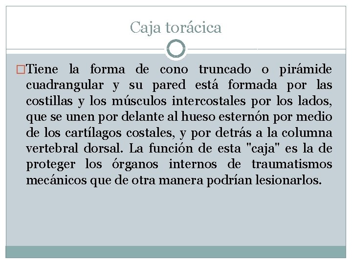 Caja torácica �Tiene la forma de cono truncado o pirámide cuadrangular y su pared