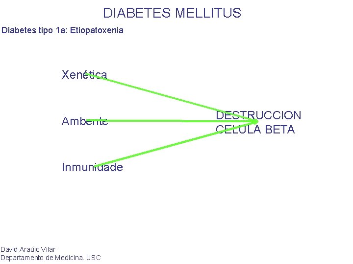 DIABETES MELLITUS Diabetes tipo 1 a: Etiopatoxenia Xenética Ambente Inmunidade David Araújo Vilar Departamento