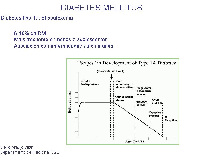 DIABETES MELLITUS Diabetes tipo 1 a: Etiopatoxenia 5 -10% da DM Mais frecuente en