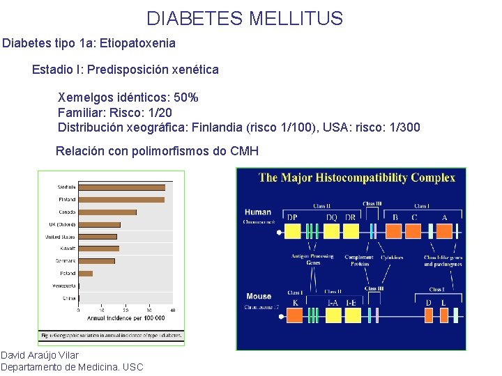 DIABETES MELLITUS Diabetes tipo 1 a: Etiopatoxenia Estadio I: Predisposición xenética Xemelgos idénticos: 50%