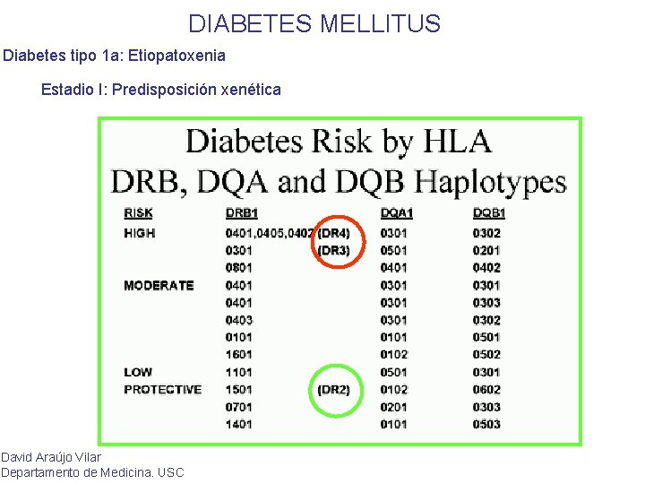 DIABETES MELLITUS Diabetes tipo 1 a: Etiopatoxenia Estadio I: Predisposición xenética David Araújo Vilar