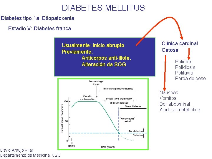 DIABETES MELLITUS Diabetes tipo 1 a: Etiopatoxenia Estadio V: Diabetes franca Usualmente: inicio abrupto