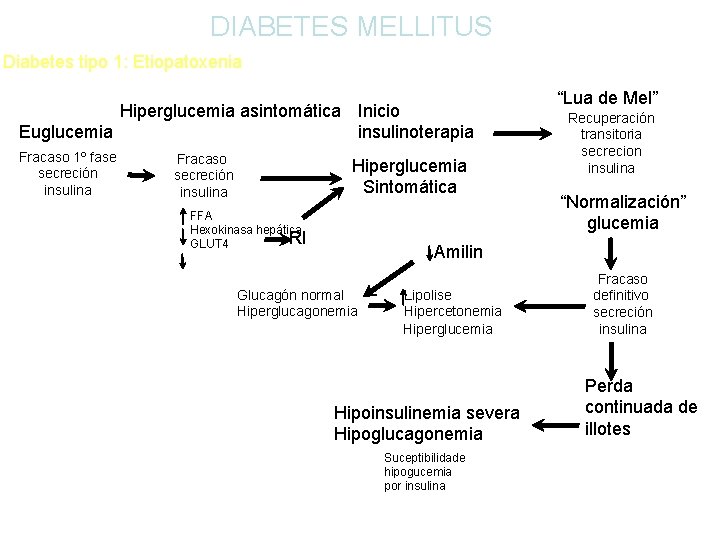 DIABETES MELLITUS Diabetes tipo 1: Etiopatoxenia Hiperglucemia asintomática Inicio Euglucemia insulinoterapia Fracaso 1º fase