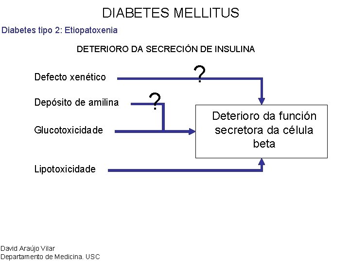DIABETES MELLITUS Diabetes tipo 2: Etiopatoxenia DETERIORO DA SECRECIÓN DE INSULINA ? Defecto xenético