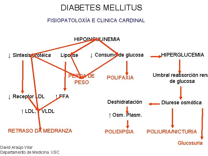 DIABETES MELLITUS FISIOPATOLOXÍA E CLINICA CARDINAL HIPOINSULINEMIA ↓ Sintesis protéica Lipolise ↓ Consumo de