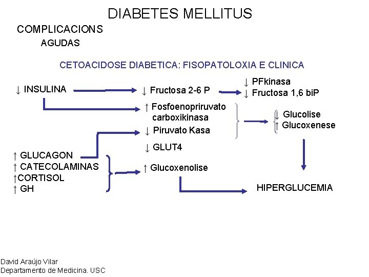 DIABETES MELLITUS COMPLICACIONS AGUDAS CETOACIDOSE DIABETICA: FISOPATOLOXIA E CLINICA ↓ INSULINA ↓ Fructosa 2