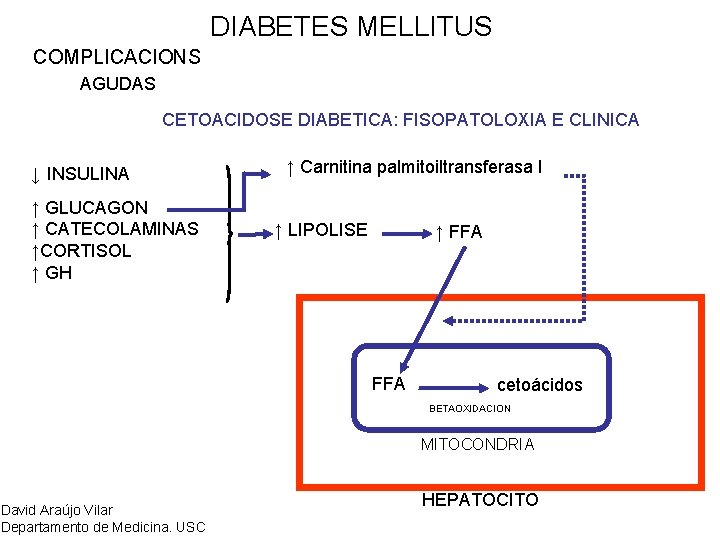 DIABETES MELLITUS COMPLICACIONS AGUDAS CETOACIDOSE DIABETICA: FISOPATOLOXIA E CLINICA ↓ INSULINA ↑ GLUCAGON ↑