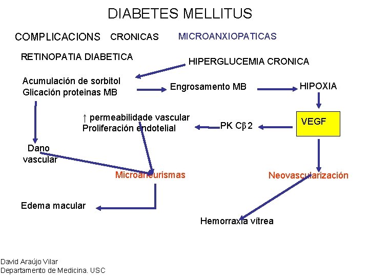 DIABETES MELLITUS COMPLICACIONS CRONICAS MICROANXIOPATICAS RETINOPATIA DIABETICA Acumulación de sorbitol Glicación proteinas MB HIPERGLUCEMIA