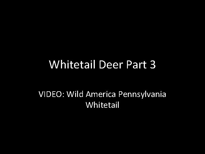 Whitetail Deer Part 3 VIDEO: Wild America Pennsylvania Whitetail 