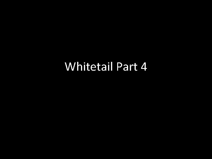 Whitetail Part 4 