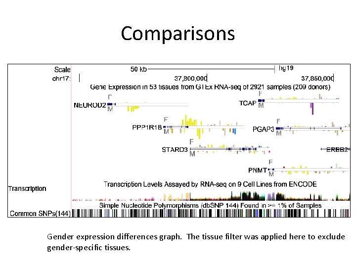 Comparisons Gender expression differences graph. The tissue filter was applied here to exclude gender-specific
