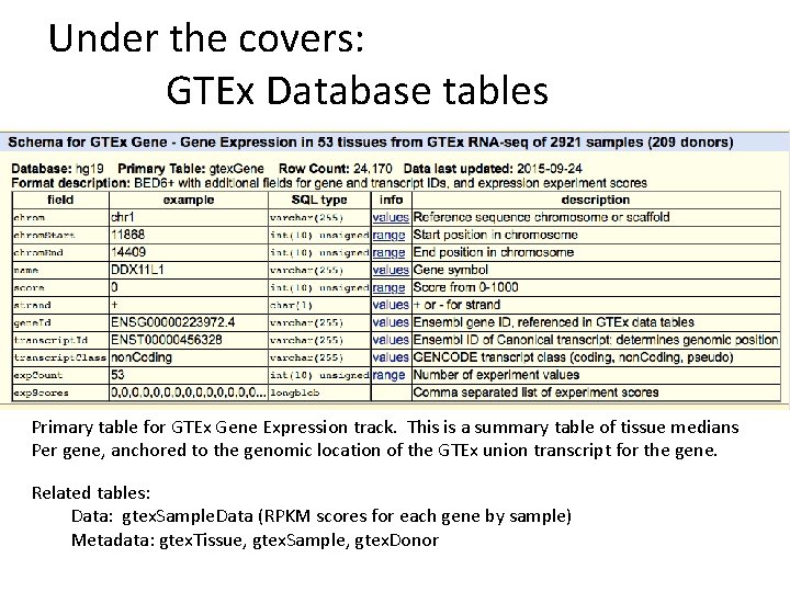 Under the covers: GTEx Database tables Primary table for GTEx Gene Expression track. This