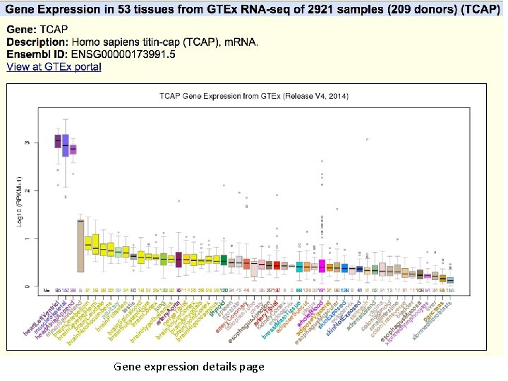 Gene expression details page 