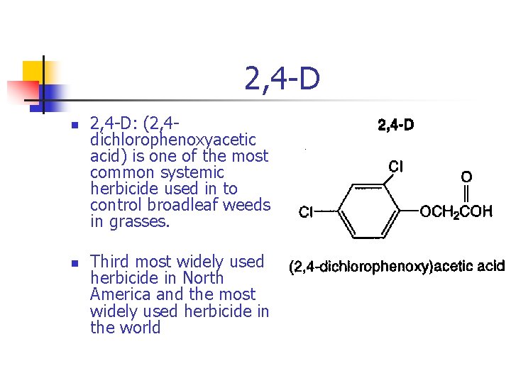 2, 4 -D n n 2, 4 -D: (2, 4 dichlorophenoxyacetic acid) is one