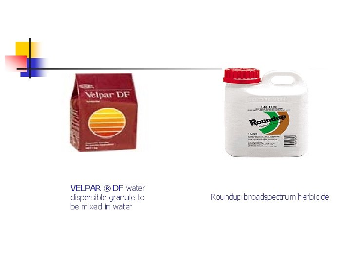 VELPAR ® DF water dispersible granule to be mixed in water Roundup broadspectrum herbicide