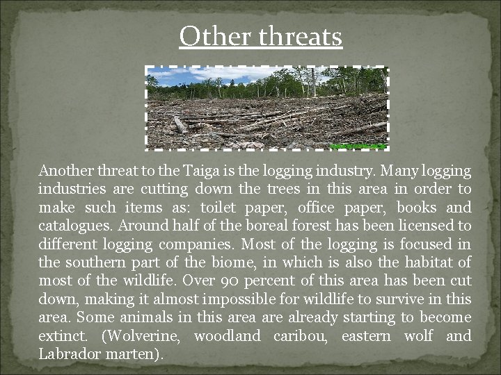 Other threats Another threat to the Taiga is the logging industry. Many logging industries