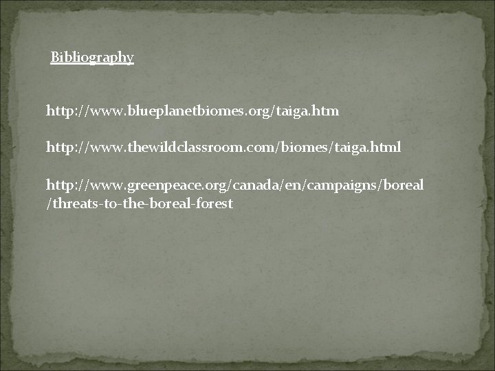 Bibliography http: //www. blueplanetbiomes. org/taiga. htm http: //www. thewildclassroom. com/biomes/taiga. html http: //www. greenpeace.