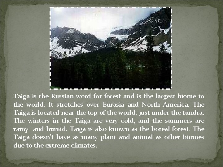 Taiga is the Russian word forest and is the largest biome in the world.