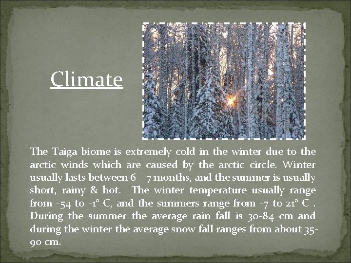 Climate The Taiga biome is extremely cold in the winter due to the arctic