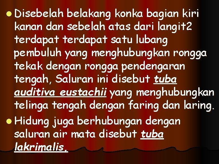 l Disebelah belakang konka bagian kiri kanan dan sebelah atas dari langit 2 terdapat