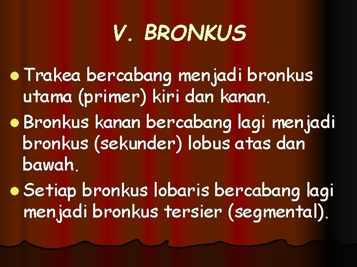 V. BRONKUS l Trakea bercabang menjadi bronkus utama (primer) kiri dan kanan. l Bronkus