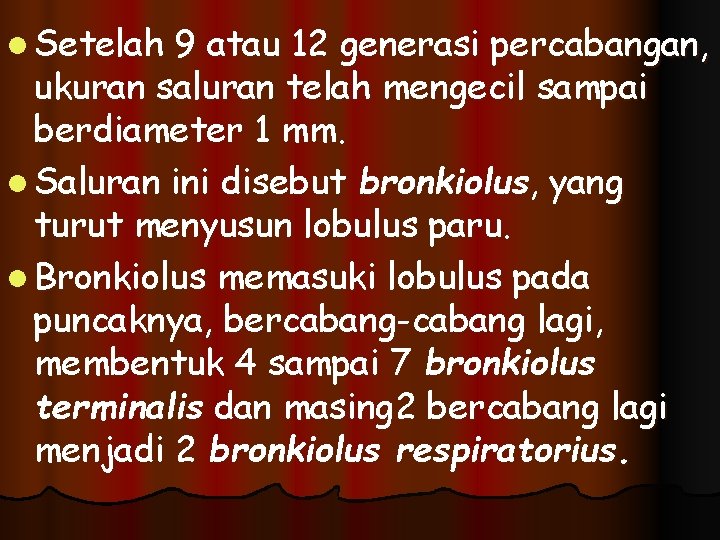 l Setelah 9 atau 12 generasi percabangan, ukuran saluran telah mengecil sampai berdiameter 1