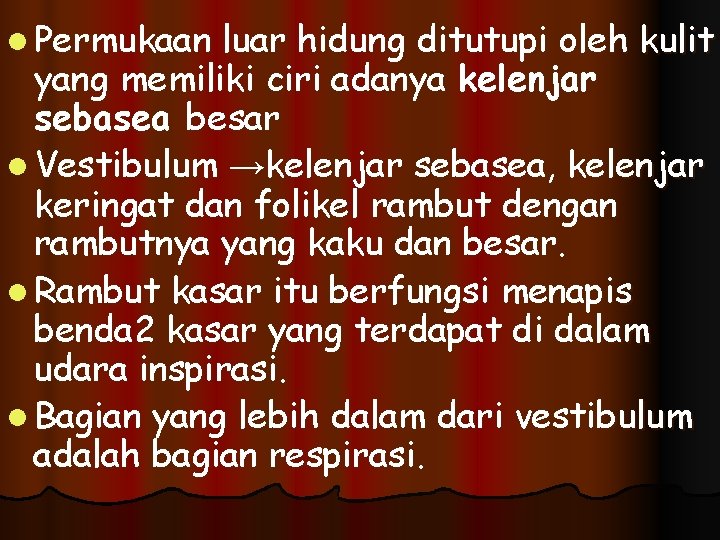 l Permukaan luar hidung ditutupi oleh kulit yang memiliki ciri adanya kelenjar sebasea besar