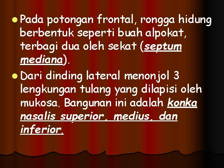 l Pada potongan frontal, rongga hidung berbentuk seperti buah alpokat, terbagi dua oleh sekat