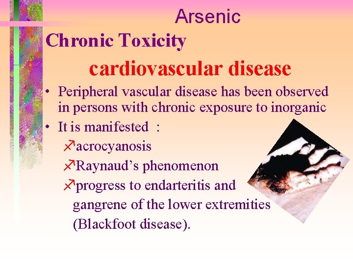 Arsenic Chronic Toxicity cardiovascular disease • Peripheral vascular disease has been observed in persons