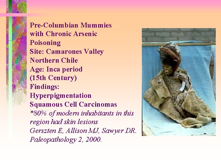 Pre-Columbian Mummies with Chronic Arsenic Poisoning Site: Camarones Valley Northern Chile Age: Inca period