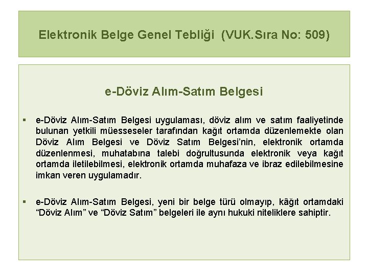 Elektronik Belge Genel Tebliği (VUK. Sıra No: 509) e-Döviz Alım-Satım Belgesi § e-Döviz Alım-Satım