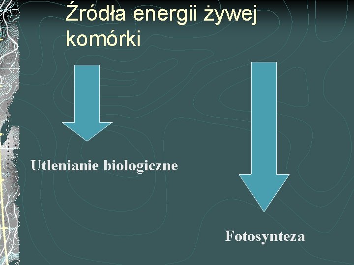 Źródła energii żywej komórki Utlenianie biologiczne Fotosynteza 