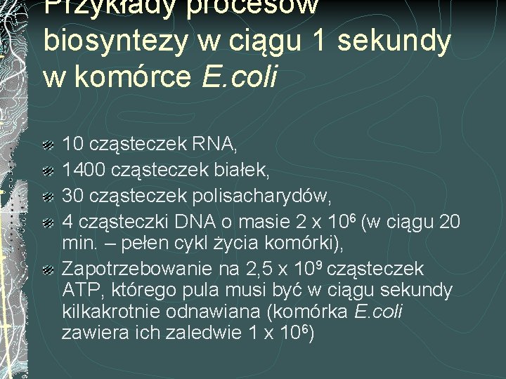 Przykłady procesów biosyntezy w ciągu 1 sekundy w komórce E. coli 10 cząsteczek RNA,