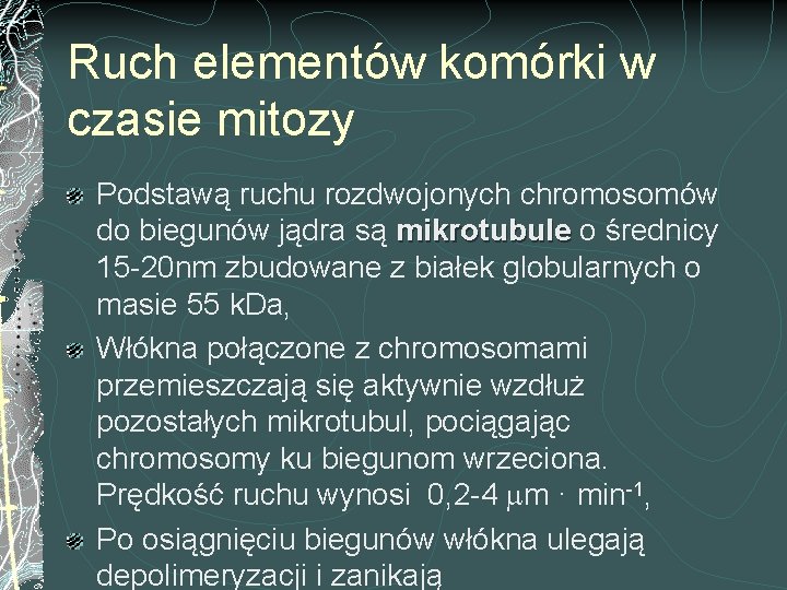 Ruch elementów komórki w czasie mitozy Podstawą ruchu rozdwojonych chromosomów do biegunów jądra są