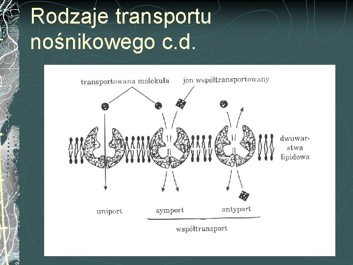 Rodzaje transportu nośnikowego c. d. 