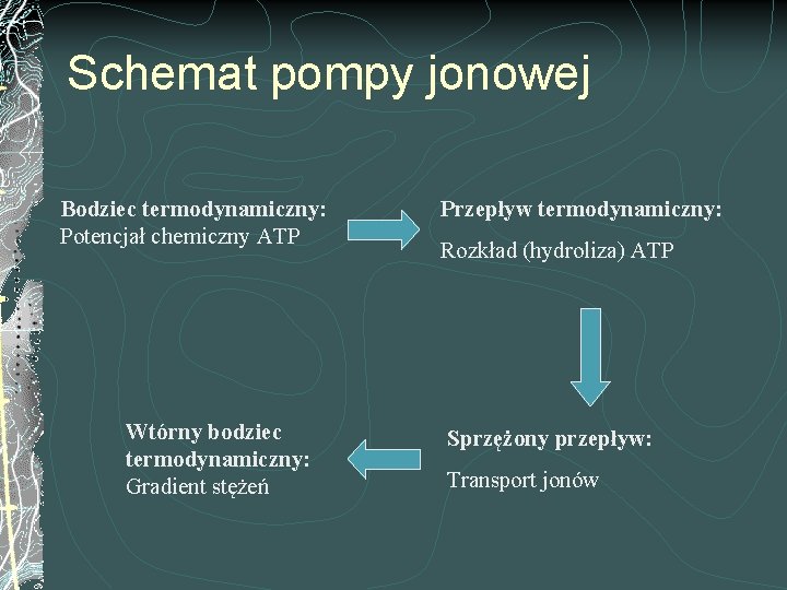 Schemat pompy jonowej Bodziec termodynamiczny: Potencjał chemiczny ATP Wtórny bodziec termodynamiczny: Gradient stężeń Przepływ