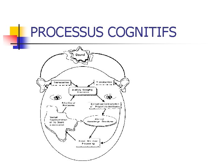 PROCESSUS COGNITIFS 