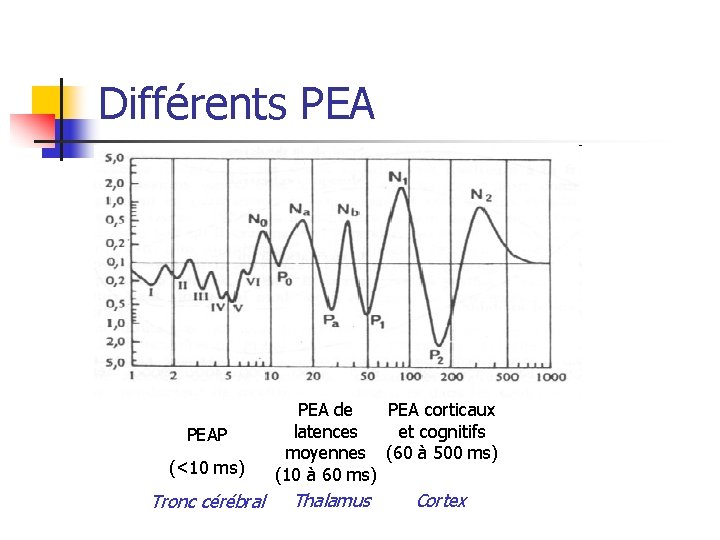 Différents PEAP (<10 ms) Tronc cérébral PEA de PEA corticaux latences et cognitifs moyennes