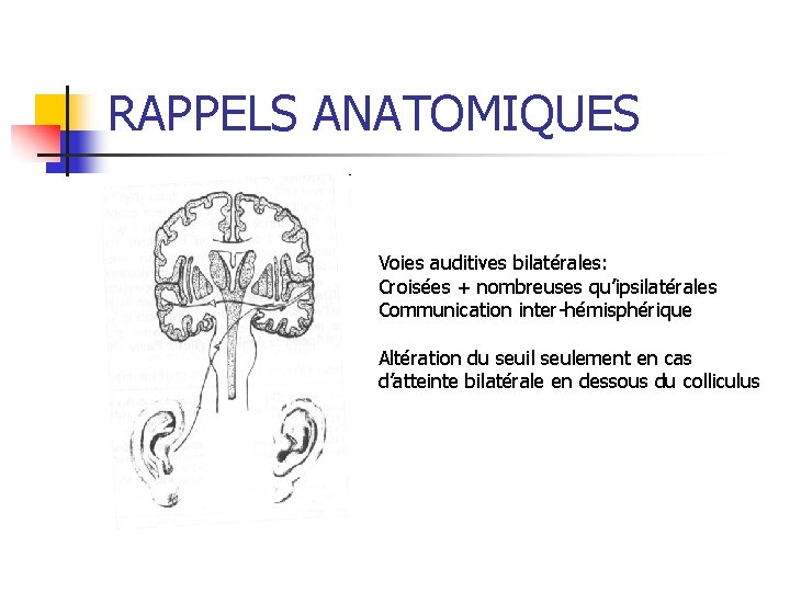 RAPPELS ANATOMIQUES Voies auditives bilatérales: Croisées + nombreuses qu’ipsilatérales Communication inter-hémisphérique Altération du seuil