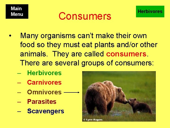 Main Menu • Consumers Herbivores Many organisms can’t make their own food so they