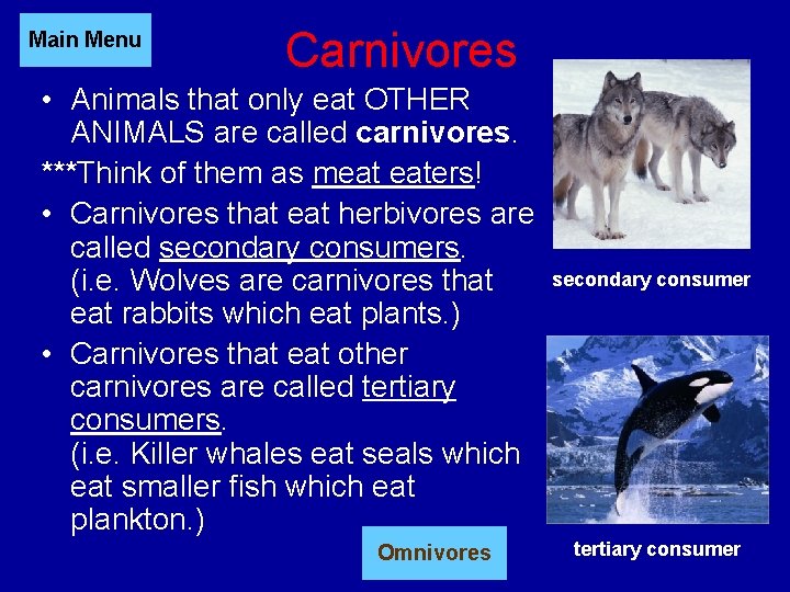 Main Menu Carnivores • Animals that only eat OTHER ANIMALS are called carnivores. ***Think