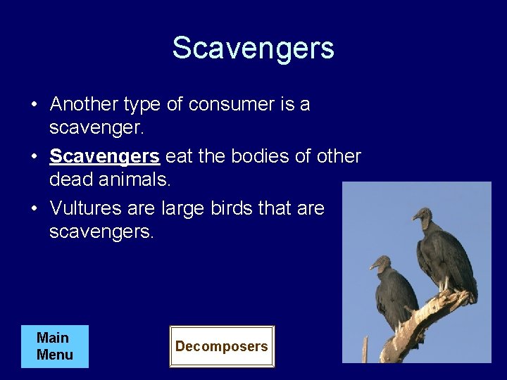 Scavengers • Another type of consumer is a scavenger. • Scavengers eat the bodies