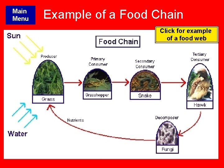 Main Menu Example of a Food Chain Click for example of a food web